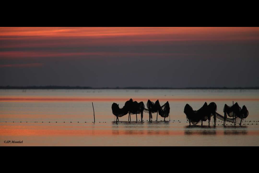 Paysage Paysage
